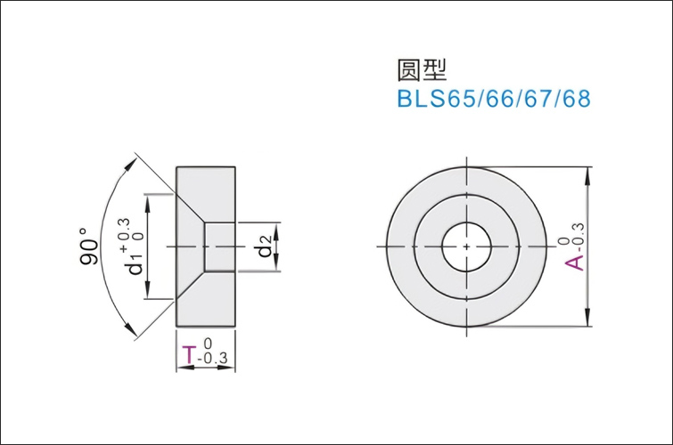 BLS65-A10-T5型号是什么磁铁？